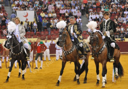 Imagens da corrida no Campo Pequeno  21-08-2014